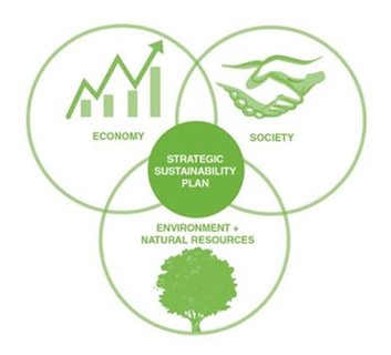 Success of a Sustainability Strategy