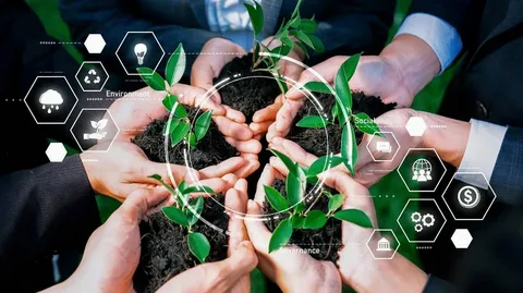 Sustainability and Social Responsibility